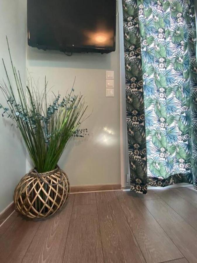 Rooftop Apartment With Garden In 约阿尼纳 外观 照片